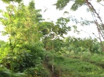 15946IMG_4497.JPG