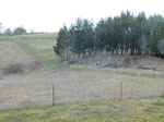 2017-02-22_14-39-17_2017-02-20_Erratic_RockW.JPG