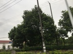2017-09-12_10-31-28_AF5726DA-B6CE-4C6E-9E8A-A0D5FE805F8C.jpg