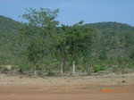 8865nigeria 076.jpg
