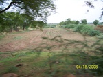 491618042008(16).JPG