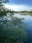 2020-09-06_17-47-05_2020-9-6-17-28-35.jpg