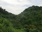 2012-09-26_20-49-19_CIMG0998.JPG