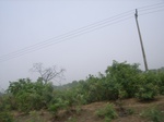 3874RIMG0178.JPG