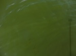 2012-09-21_14-25-49_CIMG3188.JPG