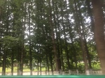 2017-09-12_12-58-33_5B2BD221-65B9-4607-BA1C-666C0DB4FFC4.jpg