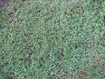 2017-07-01_06-11-50_DSC01439.JPG