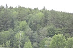 2022-06-11_17-48-27_0C9C8744-D04C-49E5-ABA7-8D2FC105C5E4.jpeg