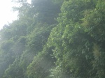 2012-09-08_18-23-34_RIMG0146.JPG