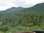 55805CIMG6426.JPG