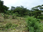 20234P1020089.JPG