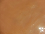 58136CIMG2447.JPG