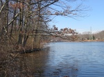 2017-02-23_10-53-48_Feb17-041-NJ.jpg