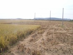 4620RIMG0053.JPG