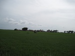 14308IMG_4648.JPG