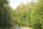 2022-06-11_16-04-22_D584D83E-E4DD-47AB-9DB5-1477BC625C45.jpeg