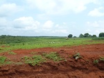 19755P1010604.JPG