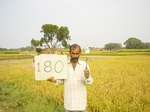 6743gt180-cropland-1.jpg