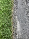 2018-05-28_10-11-28_C328B1B7-F139-48BC-882A-494627F37343.jpg