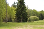 2018-04-14_13-37-18_2017-06-10 06.54.48.jpg