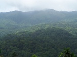 17494100_2749.JPG