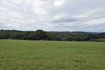 2017-09-06_16-22-49_W.jpg