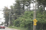 2022-06-11_18-08-04_8B8A57A9-CA69-4F48-9D03-D6E875E7F862.jpeg