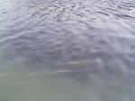 2574 150.jpg