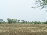 485902052008(54).JPG