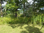 2017-09-06_16-08-54_4253N-7563W-North-20170902.jpg