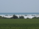 15903IMG_4451.JPG