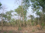 3789RIMG0093.JPG