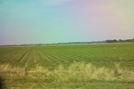 2022-06-12_15-25-35_846D0712-59B7-4750-A256-FBE4DD195D8E.jpeg