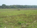 1714819042008(63).JPG