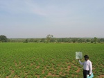 7794gt035b-cropland-rainfed-mixed-crops.jpg