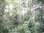 15308IMG_4146.JPG