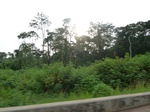 19862P1010712.JPG