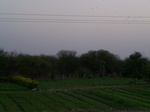 533701052008(32).JPG