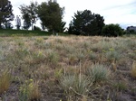 2012-09-04_07-43-55_photo_3.JPG