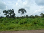 19840P1010690.JPG