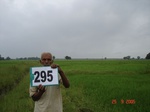 73740295c-irrigated-supplemental-major-tank-rice-doublecrop-wheat.jpg