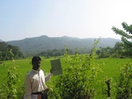 9238gt010a-cropland-rainfed-rice-sur-plantations.gif