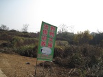 8592IMG_0392.JPG