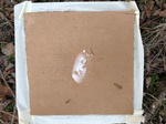 2020-10-30_10-44-36_Lake Arcadia Feb 15-2020 Trap 6.png