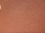 39523P1010139.JPG