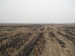 8518IMG_0344.JPG