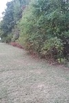2020-10-09_14-28-11_2020-10-8-18-58-18.jpg