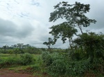 19914P1010764.JPG