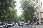 2025-07-15_16-14-12_E49C5AAC-602A-46A0-9BD8-705CD1E90DDC.jpeg