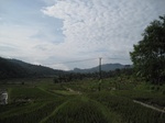 14691IMG_5072.JPG